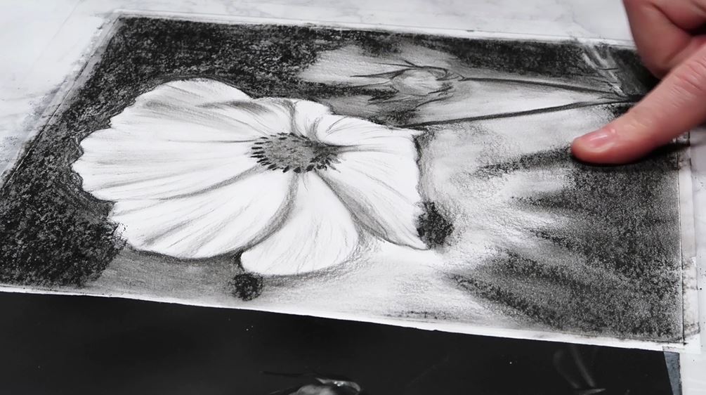 Charcoal Shading and Blending Tips Strathmore Artist Papers